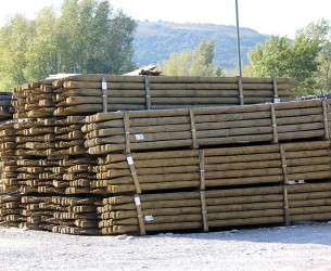 piquets-arboriculture-stock-1