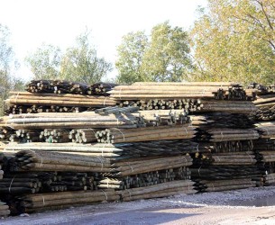 piquets-arboriculture-stock-2