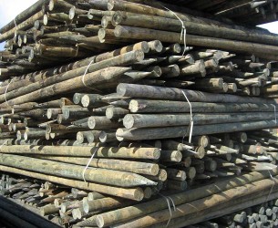 piquets-arboriculture-stock