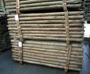 piquets-arboriculture-stock-3