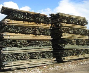 piquets-arboriculture-stock-4
